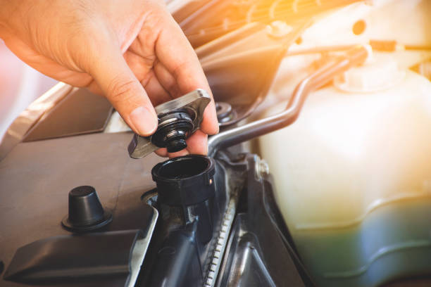 Carrera Radiator Coolant