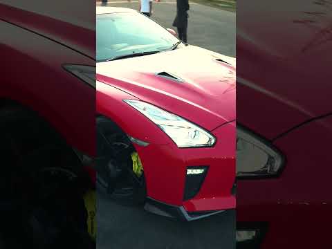 Carrera Interior Dressing + Tire Dressing