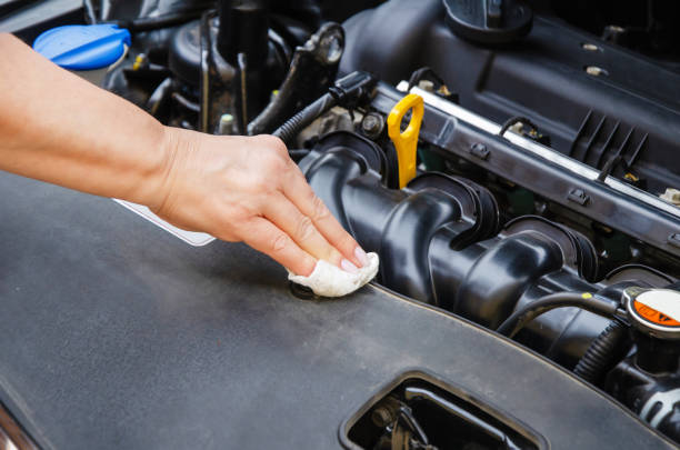 Carrera Engine Degreaser 