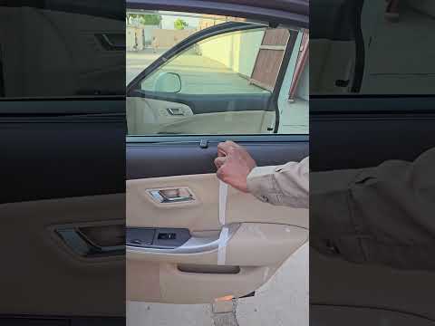 Carrera Interior Dressing
